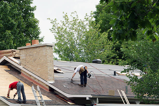 Roof Gutter Cleaning in Calabash, NC